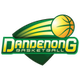 丹德农游骑兵logo