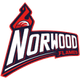 诺伍德火焰logo