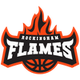 罗金厄姆火焰女篮logo