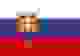 斯洛伐克女篮logo
