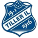 蒂勒logo