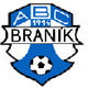 布拉尼克logo