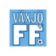 维克索女足logo