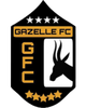 FC瞪羚logo
