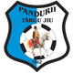 潘杜里B队logo