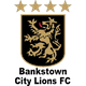本克斯拓城狮队logo