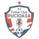 普库奥萨logo