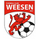 韦森logo