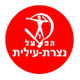 拿兹瑞伊利特logo