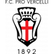 韦尔切利logo