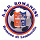 罗马尼斯logo