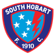 南霍巴特女足logo