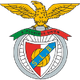 SL本菲卡女足logo