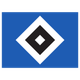 汉堡女足logo