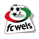 FC威尔士logo