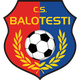 巴洛特斯帝logo