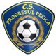 普罗格雷索佩西卡logo