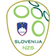 斯洛文尼亚U17logo