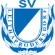 SV莱塔普logo