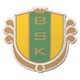 波斯坦纳斯女足logo