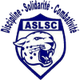 圣卡米尔豹子logo