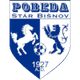 比斯诺夫logo
