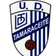 塔玛拉赛特logo