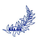 沙斯辛岛屿青年队logo