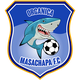 马萨查帕有机logo