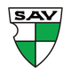 维哥萨克logo