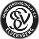 埃弗斯堡女足logo
