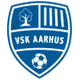 VSK阿胡斯女足logo