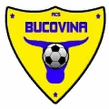 布科维纳logo