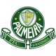 帕尔梅拉斯RN青年队logo