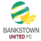 班克斯联队logo