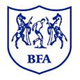 博茨瓦纳女足logo